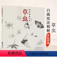 [正版]白描技法精解 草虫 中国画花草植物工笔画白描底稿书白描勾线画谱美术绘画初学者入门到精通基础教程 线描写生范例画