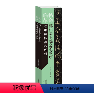 [正版] 临帖革命近距精临碑帖系列 怀仁集王羲之圣教序 原拓赵孟頫临本毛笔行书初学放大本近距离临摹练字卡 河南美术书法