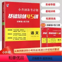 语文 小学升初中 [正版]小升初备考计划基础培优45讲讲解版+练习册语文同步期末冲刺练习册试卷全套