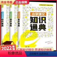 小升初总复习知识通典[语文+数学+英语] 小学升初中 [正版]2022通城学典小学知识通典通用版人教版语文数学英语小学生