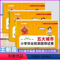语文+数学+英语[3本] 小学通用 [正版]2022新城市卷五大城市小学毕业检测指导卷真题小学升初中招生考试语文数学英语