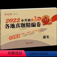[语文]小升初各地真题精编卷 小学升初中 [正版]2023版试卷小升初真题卷语文期末总复习训练题通用版初中重点名校各地真