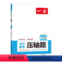 数学压轴题[人教版] 七年级/初中一年级 [正版]七年级上压轴题2024初中数学有理数方程初一数学必刷题数学专项训练解决