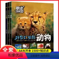动物+昆虫 +宇宙[全三册] [正版]暴读百科全套3册小学生科普课外阅读书昆虫动物宇宙儿童趣味百科知识全书少儿启蒙绘本好