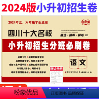 [正版]四川十大名校小升初招生分班必刷卷语文试卷 2024年绵阳成都市小学五六年级冲刺名校入学分班考试真题试卷小考小升