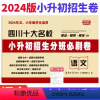[正版]四川十大名校小升初招生分班必刷卷语文试卷 2024年绵阳成都市小学五六年级冲刺名校入学分班考试真题试卷小考小升