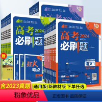 高考必刷题 专题突破 地理3 区域地理区域发展 [正版]2024高考语文3古诗文阅读 理想树67高考专题突破数学英语物理