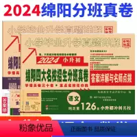 语文+数学 小学升初中 [正版]2024版绵阳四大名校招生分班真卷语文数学小升初真题卷2023年绵阳市重点八大名校入学招