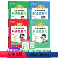 [共3本]语数英 小学升初中 [正版]2024版阳光同学小学毕业升学系统总复习语文数学英语科学 名校小升初真题卷小学六年