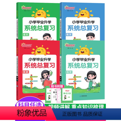 [共3本]语数英 小学升初中 [正版]2024版阳光同学小学毕业升学系统总复习语文数学英语科学 名校小升初真题卷小学六年