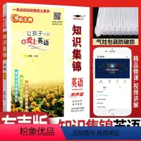 [正版]培优宝典知识集锦英语有声版人教外研通用 让孩子从此爱上英语小学英语基础知识大全 小学四五六年级英语基础知识集锦