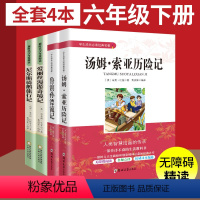 [正版]中小学生成长经典名著全4册 原著尼尔斯骑鹅旅行记爱丽丝漫游奇境记汤姆索亚历险记鲁滨孙漂流记 6六年级下册学期课