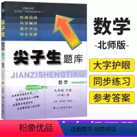 九年级下 [正版]大开本2024春尖子生题库九年级下册数学北师大版BS版 初中尖子生题库9年级下册数学同步训练习题集初三