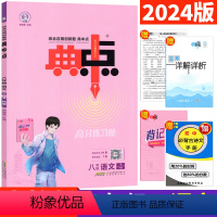 [正版]2024版典中点八年级下册语文人教版R版 初二荣德基典中点八下语文 典中典综合应用创新题单元达标测试卷 典点八