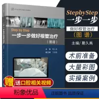 [正版] StepbyStep一步一步做好根管治疗 图谱 葛久禹 铁梅 主编口腔科学医学用书江苏凤凰科学技术出版社9