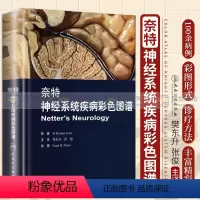 [正版]奈特神经系统疾病彩色图谱 奈特神经系统临床解剖书 内科学神经科学抑郁症睡眠障碍临床医学神经系统疾病彩色图谱 人