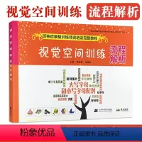 [正版]视觉空间训练 流程解析 孤独症康复训练师资培训参考教程 自闭症儿童视觉空间障碍训练方法书籍 孤独症患者视觉感表