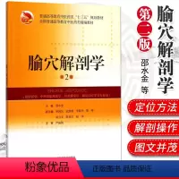 [正版]腧穴解剖学(第2版) 适用于中医药院校中医学 针灸推拿学 中西医临床医学邵水金 申国民武煜明 等主编 版次1上