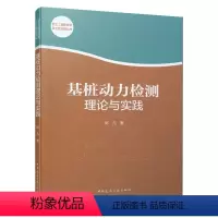 [正版]基桩动力检测理论与实践 岩土工程新技术及工程应用丛书 分析桩基工程动力检测技术 基桩动力检测技术 陈凡 中