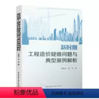 [正版]新时期工程造价疑难问题与典型案例解析 孙凌志著工程造价案例分析 建筑工程经济与管理 工程造价案例分析参考学习阅
