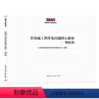 [正版] 结构施工图常见问题图示解析 钢结构 以图集的形式解析问题 BIAD建筑设计指导丛书 可供设计审图管理等部门技