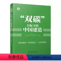 [正版]双碳 目标下的中国建造 绿色改造 智慧建造 工业化建造 低碳减排 低碳生活可供建设行业从业人员参考毛志兵等编中