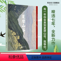 [正版]夏摩山谷 庆山 2019作品 爱情小说 长篇小说 安妮宝贝 七月与安生 追寻自我精神之旅 出品