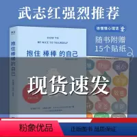[正版]抱住棒棒的自己 武志红 过去的我已经做得很棒了 剩下的我真的可以慢慢来 果麦文化出品
