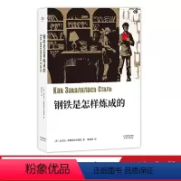 钢铁是怎样炼成的 [正版]钢铁是怎样炼成的 尼古拉·奥斯特洛夫斯基 中文分级阅读八年级 课外读物 俄国长篇小说 世界名著