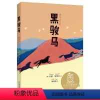 [正版]黑骏马 9-10岁适读 中文分级阅读四年级 课外读物 小学四年级课外阅读 阅读滋养心灵 儿童文学 果麦出品