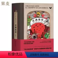 [正版]风之影系列4:灵魂迷宫 卡洛斯·鲁依兹·萨丰 西班牙鬼才作家 风之影四部曲 西班牙小说 外国文学 果麦出品