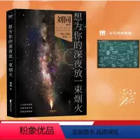 [正版]想为你的深夜放一束烟火 刘同 23个暖心故事 青春文学 果麦出品