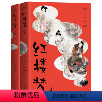 水浒传+西游记+三国演义+红楼梦(4册) [正版]红楼梦青少版 茅盾改编 故事纯享 戴敦邦彩绘长卷 疑难字词注音释义 无