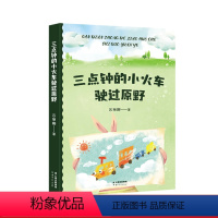 三点钟的小火车驶过原野 [正版]三点钟的小火车驶过原野 吕丽娜 中文分级阅读一年级 儿童文学 6-7岁 果麦出品