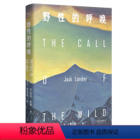 [正版]野性的呼唤 杰克伦敦 家犬成狼王 反抗精神 现实主义 中文分级阅读八年级 课外读物 美国小说 外国文学 出品