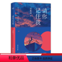 [正版]请你记住我 刘墨闻 长篇小说 青春文学 校园爱情 成长 初恋 陪伴 友情 果麦出品