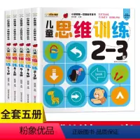 [正版]儿童思维训练2-3-4-5-6-7岁共5本 幼儿左右脑全脑开发游戏书专注力训练逻辑思维培养玩具书学前幼儿园记忆