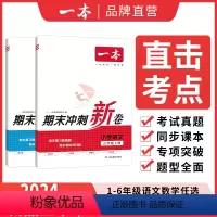 ⭐[99%推荐2本装]语文+数学 一年级上 [正版]2024期末冲刺新卷小学一年级二年级三四五六年级上册语文数学人教版全