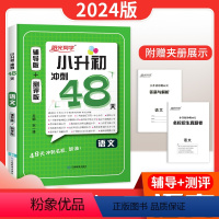 语文+数学+英语 小学升初中 [正版]2024版阳光同学小升初冲刺48天语文数学英语 全国通用 小升初习题练习册 辅导版