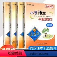 [4本]语文+数学+英语+科学 小学六年级 [正版]2024新版孟建平小学语文数学英语科学毕业总复习全套 小学升初中专项