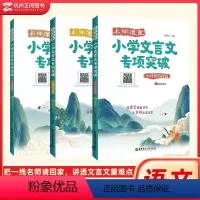 全套(3本) 小学通用 [正版]名师课堂小学文言文专项突破 快速入门+小升初衔接+高效进阶篇赠音频 小学生3456三四五