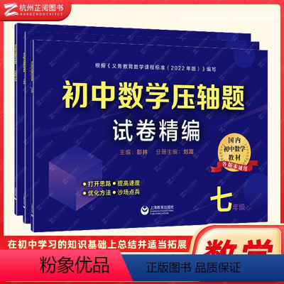 压轴题试卷精编 七八九年级(3本) 初中通用 [正版]初中数学压轴题精讲精练试卷精编七八九年级初一数学初二初三同步专项训
