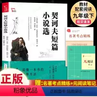 契诃夫短篇小说选-三联书店 [正版]契诃夫短篇小说选九年级下册原著完整版人教初三初中生9必读课外阅读书籍中学生读物精选文