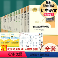 全套17本]八年级下4册+九年级上下13册必读 [正版]钢铁是怎样炼成的经典常谈名人传给青年的十二封信苏菲平凡的世界原著