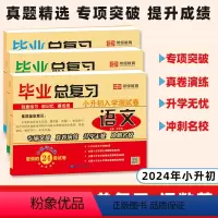小升初入学测试卷[语+数+英](套装3本) 小学升初中 [正版]小升初真题卷2024小升初必刷题人教版毕业总复习语文数学
