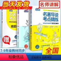 [全3册]中考必考名著精讲细练 初中通用 [正版]名著导读考点精练初中必读名著导读与考点一本通七八九年级中考必考名著考点