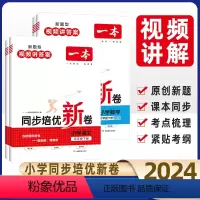 [语文]同步培优卷+阅读+作文(3本) 五年级上 [正版]2024版同步培优新卷五年级下册同步试卷测试卷全套小学语文数学