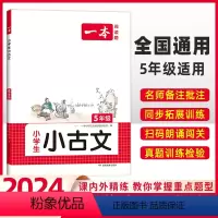 [语文]小学阅读训练100篇+小古文》(2本) 小学五年级 [正版]2024版一本小学生小古文五年级人教版小学生必背小古