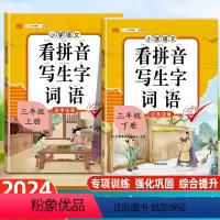 [4本]看拼音写生字词语+生字组词+阅读理解+句子训练 三年级上 [正版]2024版看拼音写词语三年级下册小学语文注音生