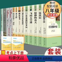 全套13本]八年级上下册人教名著+傅雷+苏菲+平凡的世界 [正版]飞向太空港寂静的春天星星离我们有多远傅雷家书钢铁是怎样